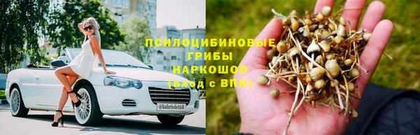 ешки Арсеньев